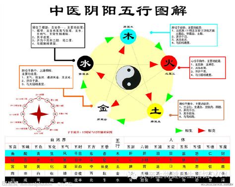 五行相剋表|五行相生相剋說明